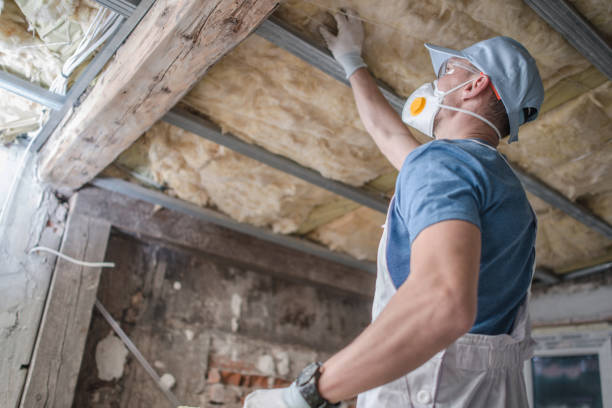 Best DIY Insulation Kits and Guidance in Clarksburg, WV