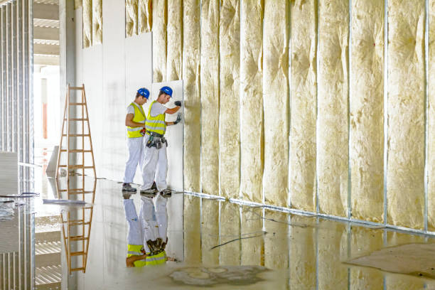 Best DIY Insulation Kits and Guidance in Clarksburg, WV